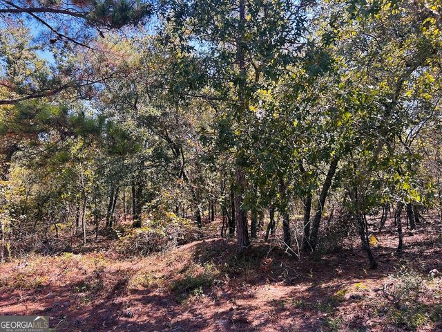 6842 GA Highway 240 TRACT 1, Box Springs, GA 31801