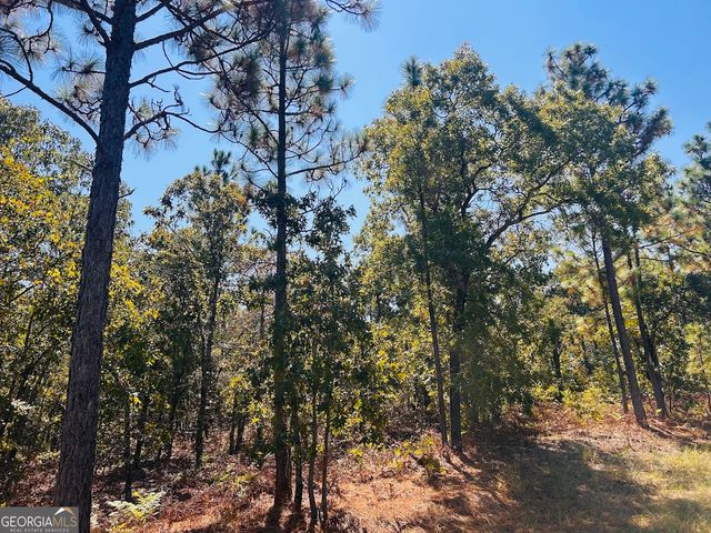 6842 GA Highway 240 TRACT 1, Box Springs, GA 31801