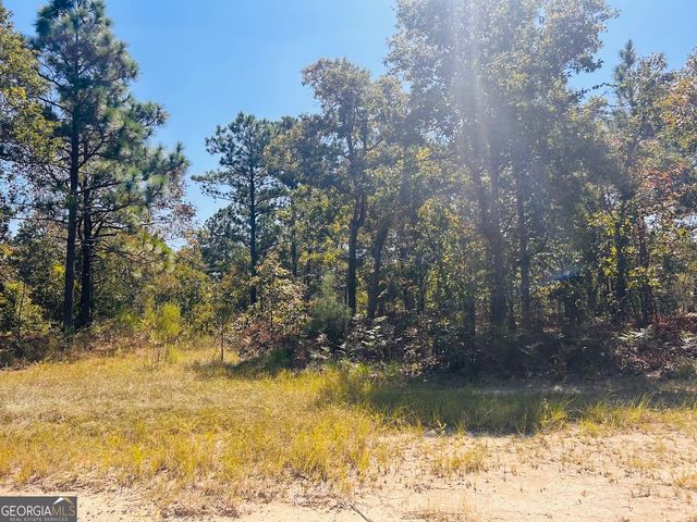 6842 GA Highway 240 TRACT 1, Box Springs, GA 31801