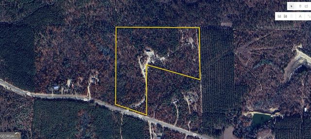 6842 GA Highway 240 TRACT 1, Box Springs, GA 31801