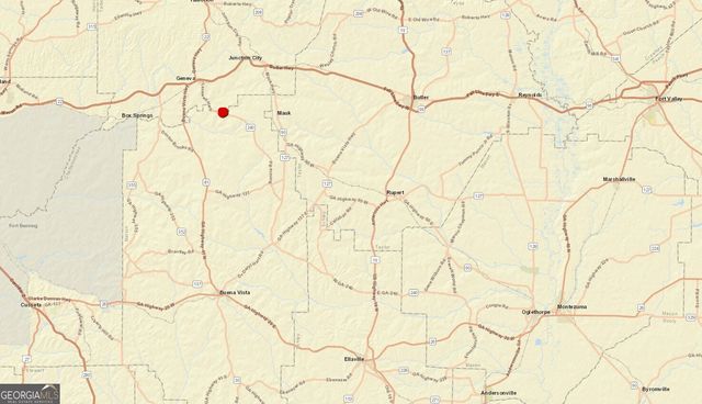 6842 GA Highway 240 TRACT 1, Box Springs, GA 31801