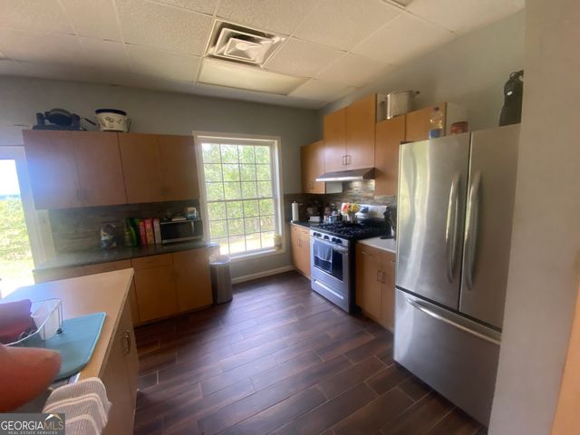 6842 GA Highway 240 TRACT 1, Box Springs, GA 31801