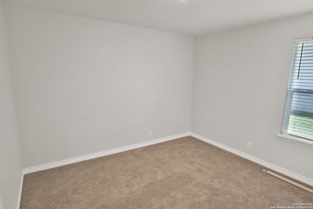 183 Ringed Plover, San Antonio, TX 78253