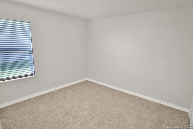 183 Ringed Plover, San Antonio, TX 78253