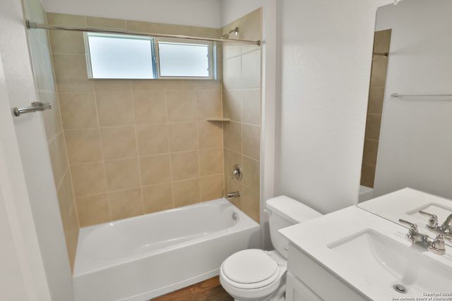 183 Ringed Plover, San Antonio, TX 78253