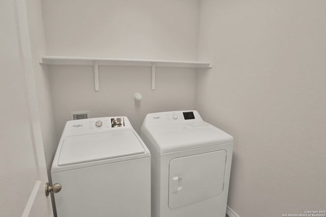 183 Ringed Plover, San Antonio, TX 78253