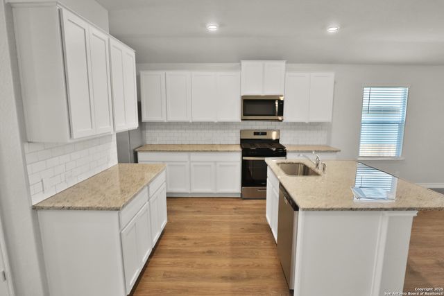 183 Ringed Plover, San Antonio, TX 78253