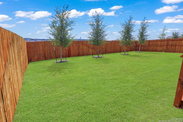 183 Ringed Plover, San Antonio, TX 78253