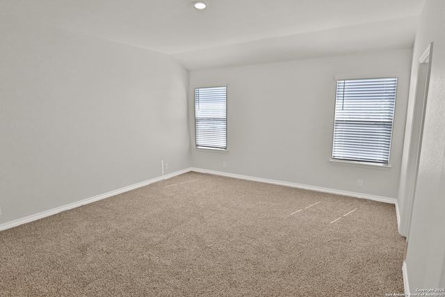 183 Ringed Plover, San Antonio, TX 78253