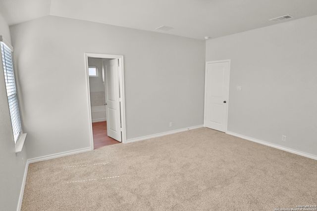 183 Ringed Plover, San Antonio, TX 78253