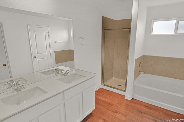 183 Ringed Plover, San Antonio, TX 78253