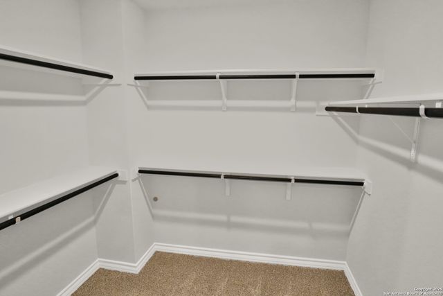 183 Ringed Plover, San Antonio, TX 78253