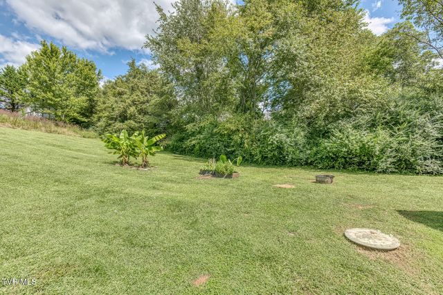 30 Ebenezer Loop, Chuckey, TN 37641
