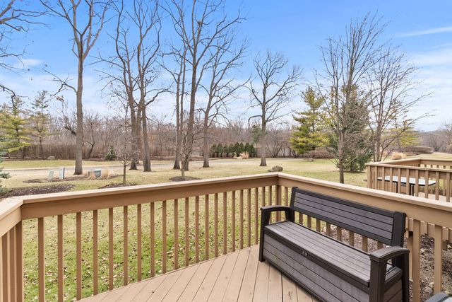 217 Winding Trails Drive, Willow Springs, IL 60480