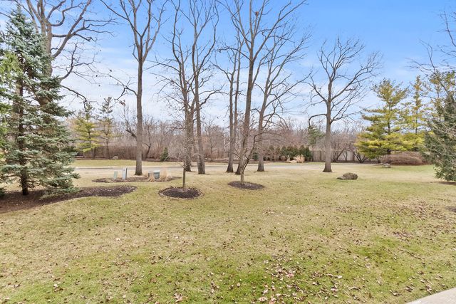 217 Winding Trails Drive, Willow Springs, IL 60480