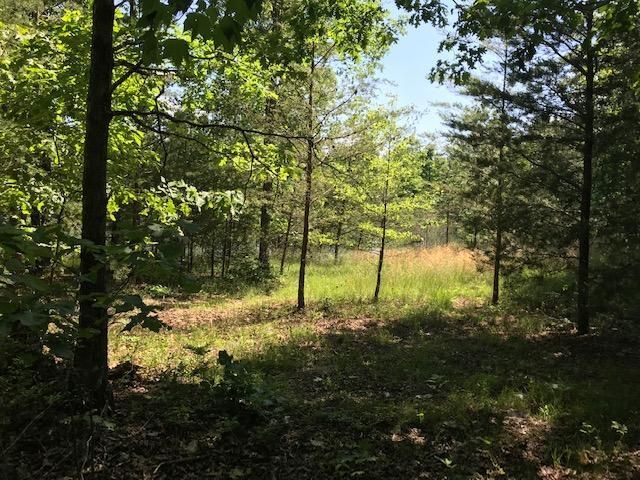 100 Bluff View Drive, Dunlap, TN 37327