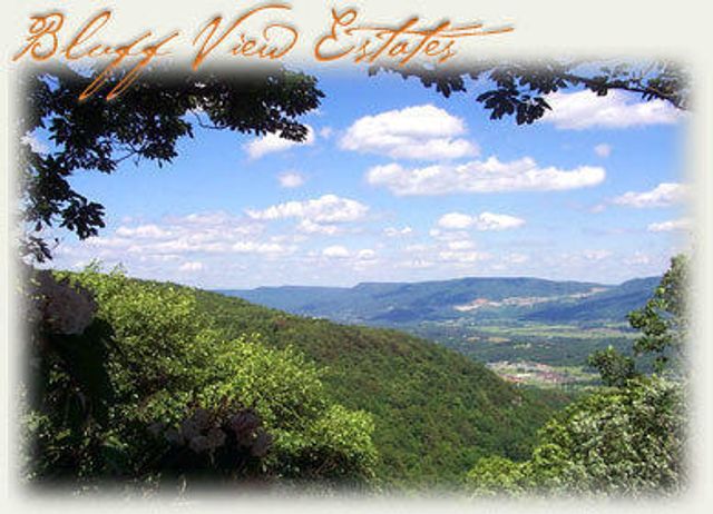 100 Bluff View Drive, Dunlap, TN 37327