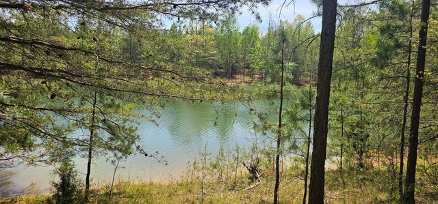 100 Bluff View Drive, Dunlap, TN 37327