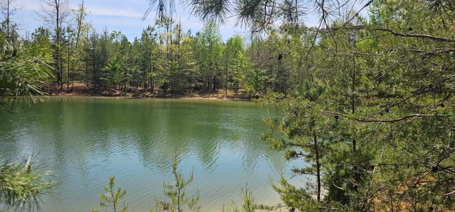100 Bluff View Drive, Dunlap, TN 37327