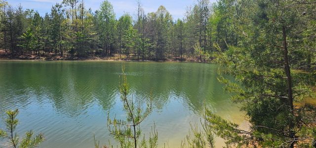 100 Bluff View Drive, Dunlap, TN 37327