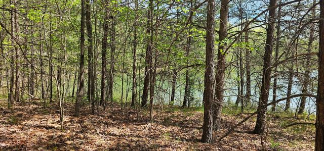 100 Bluff View Drive, Dunlap, TN 37327