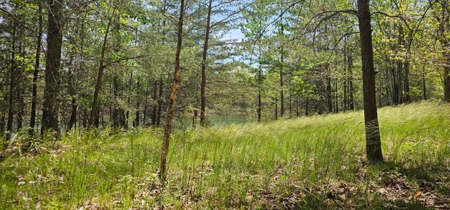 100 Bluff View Drive, Dunlap, TN 37327