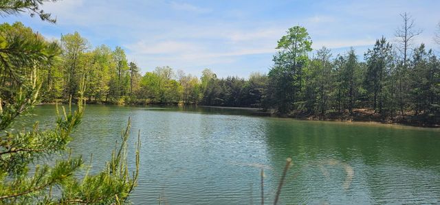100 Bluff View Drive, Dunlap, TN 37327