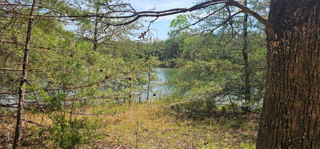 100 Bluff View Drive, Dunlap, TN 37327