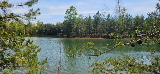 100 Bluff View Drive, Dunlap, TN 37327