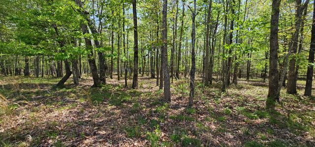 100 Bluff View Drive, Dunlap, TN 37327