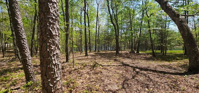 100 Bluff View Drive, Dunlap, TN 37327