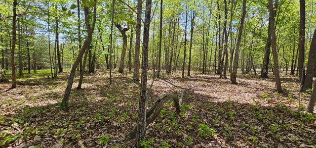 100 Bluff View Drive, Dunlap, TN 37327