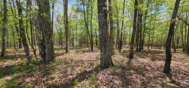 100 Bluff View Drive, Dunlap, TN 37327