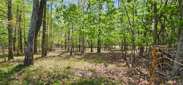 100 Bluff View Drive, Dunlap, TN 37327