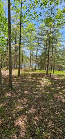 100 Bluff View Drive, Dunlap, TN 37327