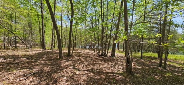 100 Bluff View Drive, Dunlap, TN 37327