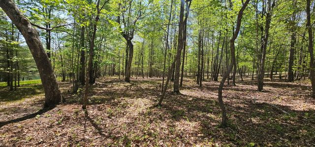 100 Bluff View Drive, Dunlap, TN 37327