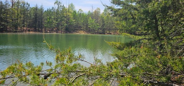 100 Bluff View Drive, Dunlap, TN 37327