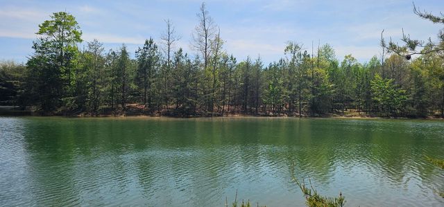 100 Bluff View Drive, Dunlap, TN 37327
