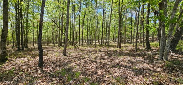 100 Bluff View Drive, Dunlap, TN 37327