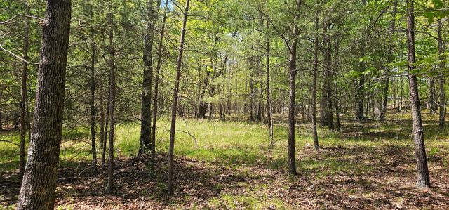 100 Bluff View Drive, Dunlap, TN 37327