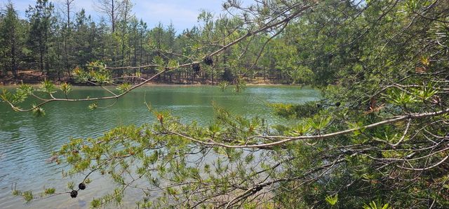 100 Bluff View Drive, Dunlap, TN 37327
