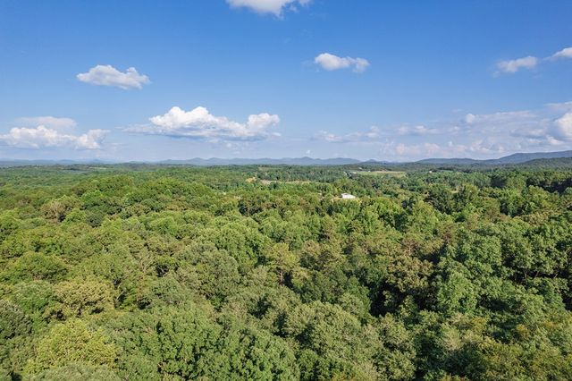 270 Stone Lane, Blue Ridge, GA 30513