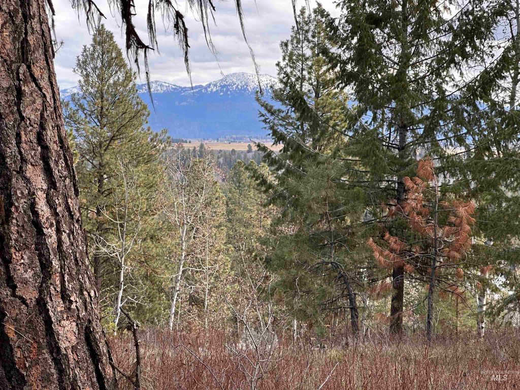 320 Blackhawk Lake Dr., McCall, ID 83638 photo 21