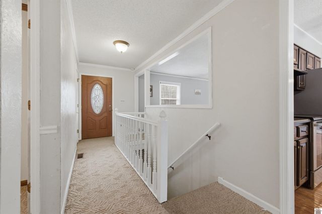 3033 Carrico Road, Fancy Farm, KY 42039