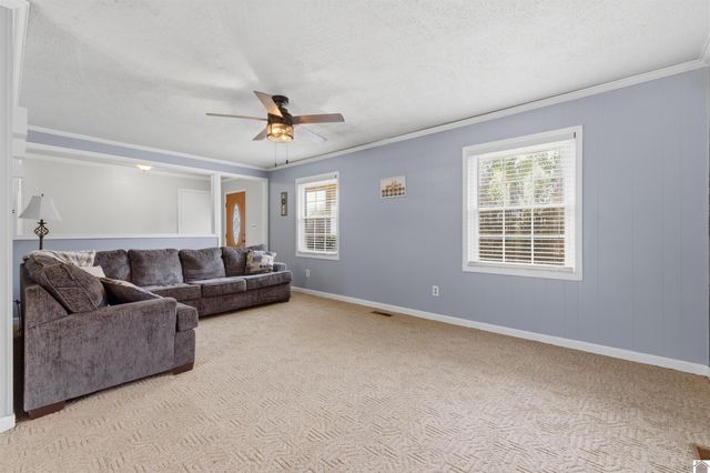 3033 Carrico Road, Fancy Farm, KY 42039