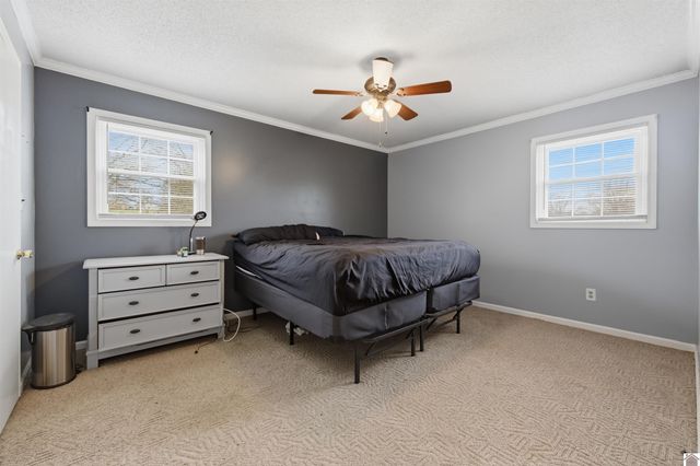 3033 Carrico Road, Fancy Farm, KY 42039