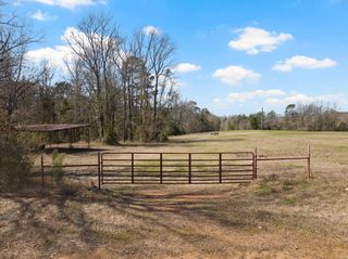 TBD County Road 2737, Naples, TX 75568