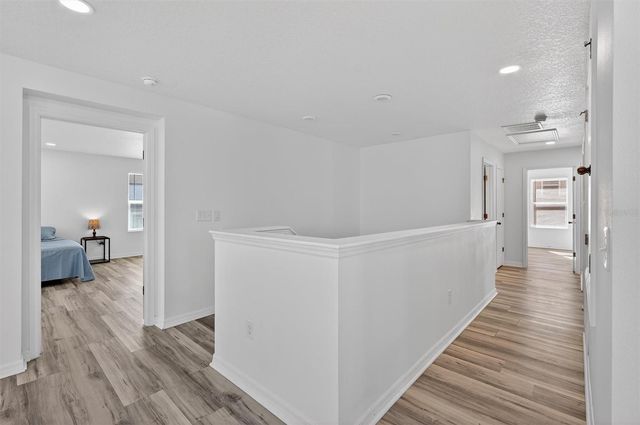 11309 BRIGHTON KNOLL LOOP, Riverview, FL 33579