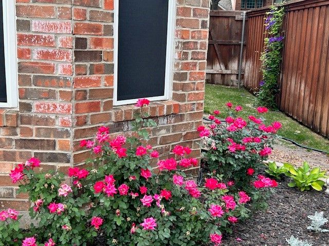 4656 Spencer Drive, Plano, TX 75024